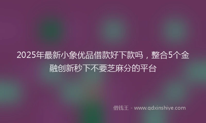 2025年最新小象优品借款好下款吗，整合5个金融创新秒下不要芝麻分的平台