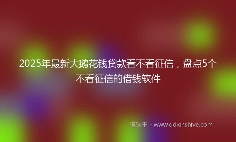 2025年最新大鹅花钱贷款看不看征信，盘点5个不看征信的借钱软件