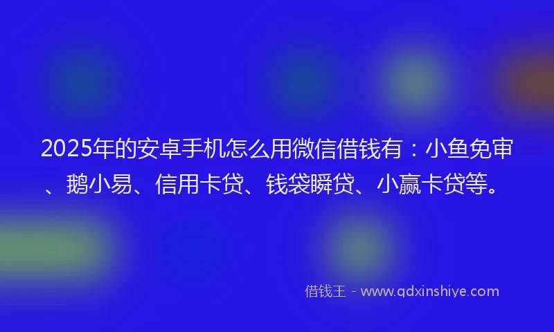 2025年的安卓手机怎么用微信借钱有：小鱼免审、鹅小易、信用卡贷、钱袋瞬贷、小赢卡贷等。