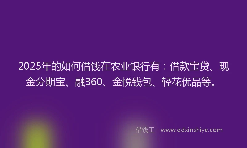 2025年的如何借钱在农业银行有：借款宝贷、现金分期宝、融360、金悦钱包、轻花优品等。