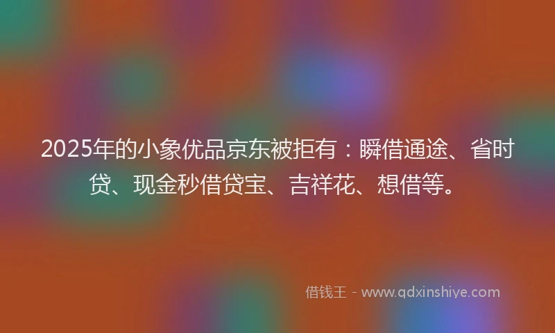 2025年的小象优品京东被拒有：瞬借通途、省时贷、现金秒借贷宝、吉祥花、想借等。