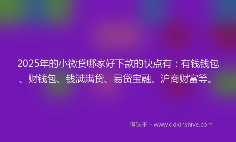 2025年的小微贷哪家好下款的快点有：有钱钱包、财钱包、钱满满贷、易贷宝融、沪商财富等。