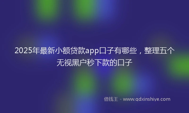 2025年最新小额贷款app口子有哪些，整理五个无视黑户秒下款的口子