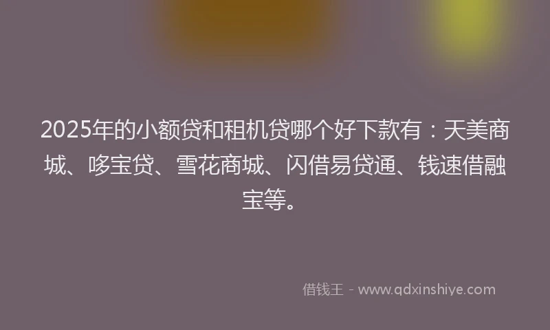 2025年的小额贷和租机贷哪个好下款有：天美商城、哆宝贷、雪花商城、闪借易贷通、钱速借融宝等。