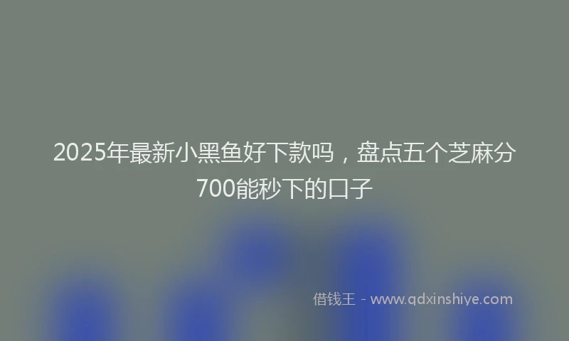 2025年最新小黑鱼好下款吗，盘点五个芝麻分700能秒下的口子