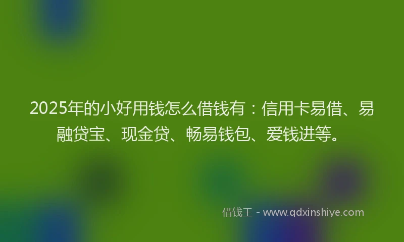 2025年的小好用钱怎么借钱有：信用卡易借、易融贷宝、现金贷、畅易钱包、爱钱进等。