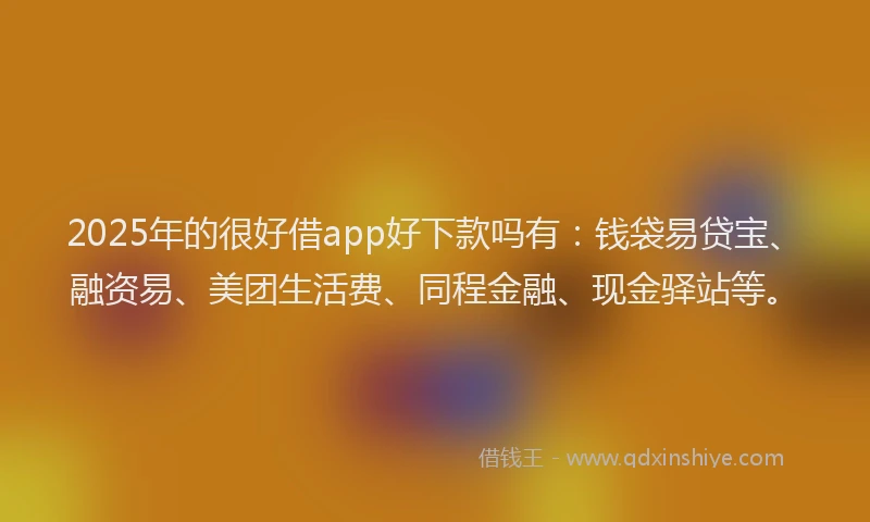 2025年的很好借app好下款吗有：钱袋易贷宝、融资易、美团生活费、同程金融、现金驿站等。