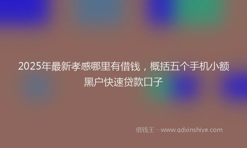 2025年最新孝感哪里有借钱，概括五个手机小额黑户快速贷款口子