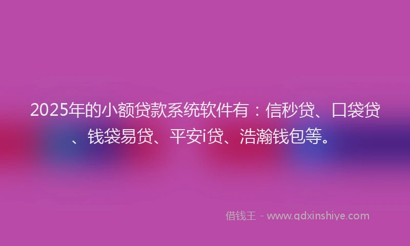 2025年的小额贷款系统软件有：信秒贷、口袋贷、钱袋易贷、平安i贷、浩瀚钱包等。