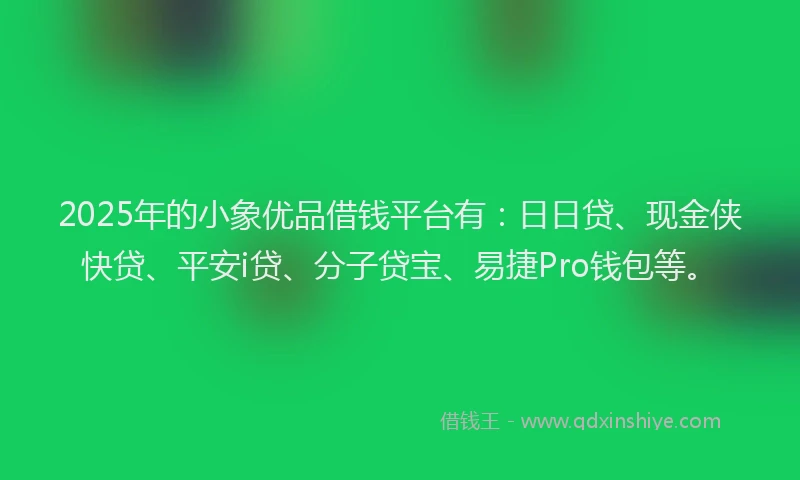 2025年的小象优品借钱平台有：日日贷、现金侠快贷、平安i贷、分子贷宝、易捷Pro钱包等。