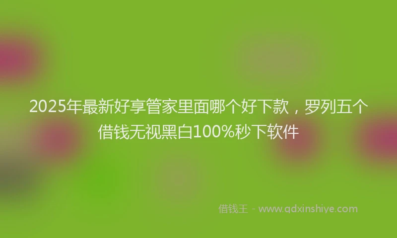 2025年最新好享管家里面哪个好下款，罗列五个借钱无视黑白100%秒下软件