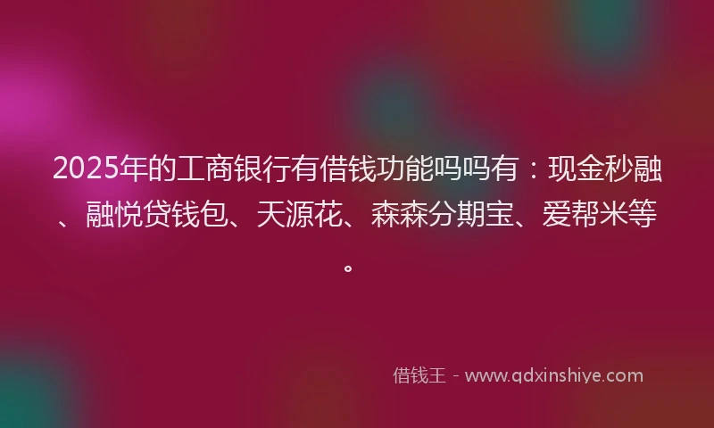 2025年的工商银行有借钱功能吗吗有：现金秒融、融悦贷钱包、天源花、森森分期宝、爱帮米等。