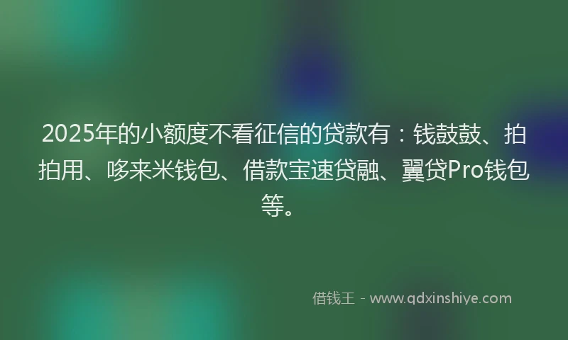 2025年的小额度不看征信的贷款有：钱鼓鼓、拍拍用、哆来米钱包、借款宝速贷融、翼贷Pro钱包等。