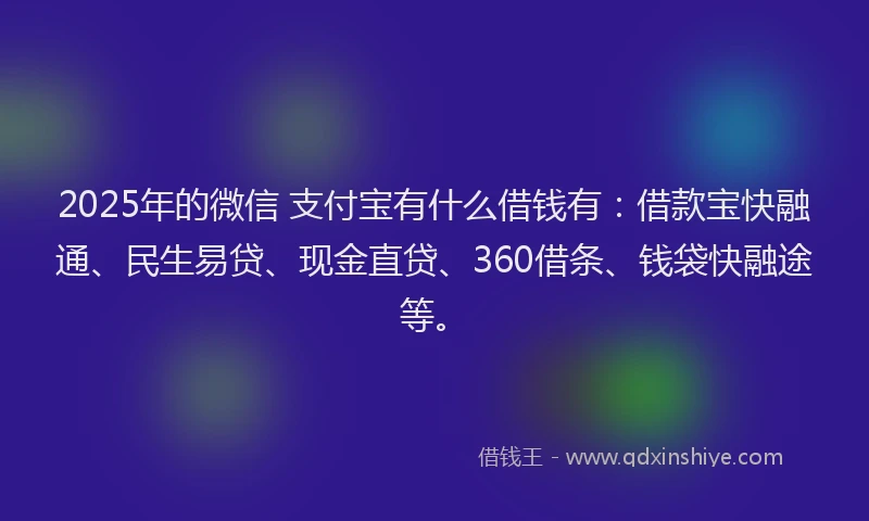 2025年的微信 支付宝有什么借钱有：借款宝快融通、民生易贷、现金直贷、360借条、钱袋快融途等。