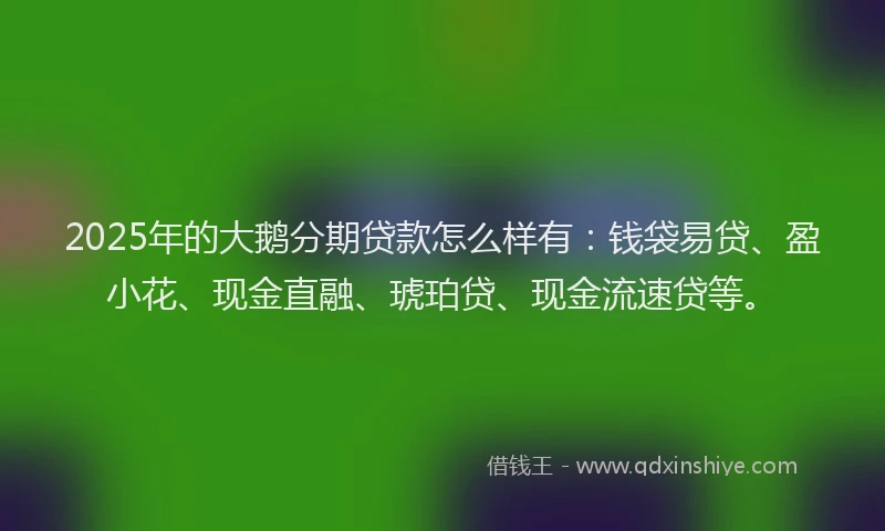 2025年的大鹅分期贷款怎么样有：钱袋易贷、盈小花、现金直融、琥珀贷、现金流速贷等。