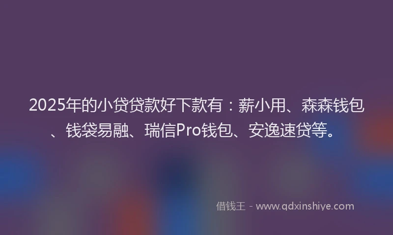 2025年的小贷贷款好下款有：薪小用、森森钱包、钱袋易融、瑞信Pro钱包、安逸速贷等。