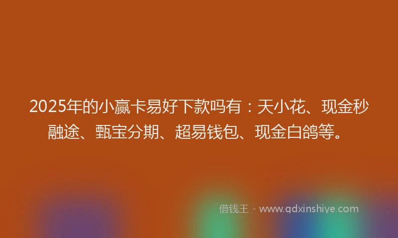 2025年的小赢卡易好下款吗有：天小花、现金秒融途、甄宝分期、超易钱包、现金白鸽等。