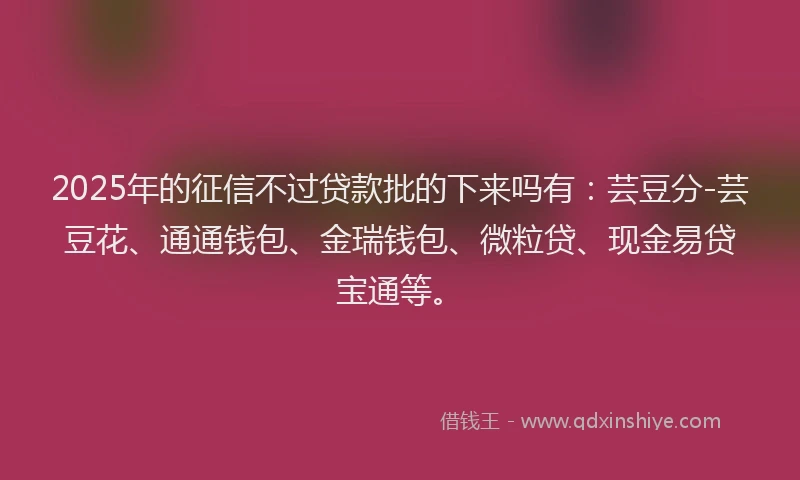 2025年的征信不过贷款批的下来吗有：芸豆分-芸豆花、通通钱包、金瑞钱包、微粒贷、现金易贷宝通等。