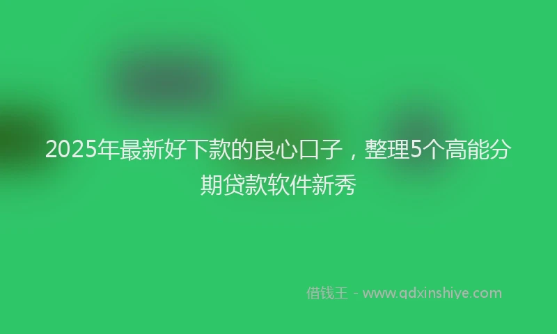 2025年最新好下款的良心口子，整理5个高能分期贷款软件新秀
