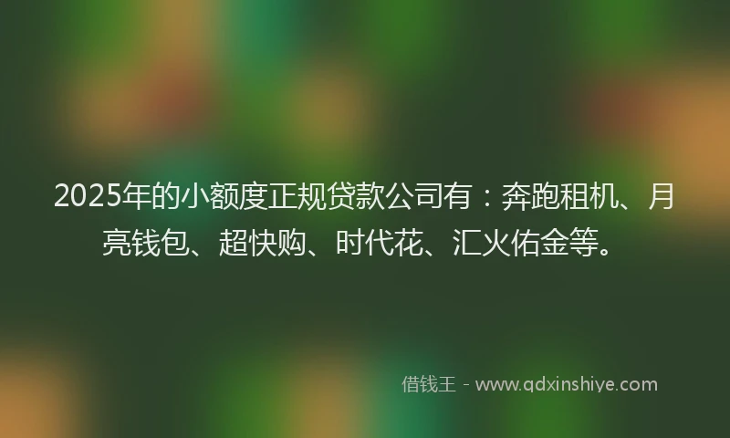 2025年的小额度正规贷款公司有：奔跑租机、月亮钱包、超快购、时代花、汇火佑金等。