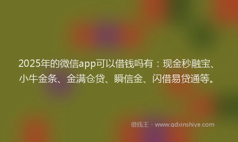 2025年的微信app可以借钱吗有：现金秒融宝、小牛金条、金满仓贷、瞬信金、闪借易贷通等。