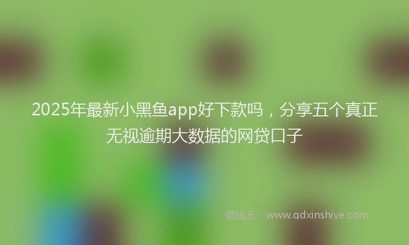 2025年最新小黑鱼app好下款吗，分享五个真正无视逾期大数据的网贷口子