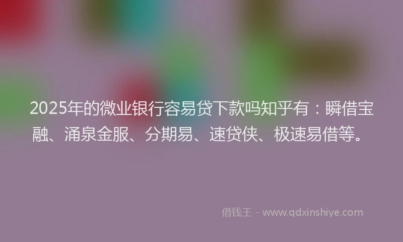2025年的微业银行容易贷下款吗知乎有：瞬借宝融、涌泉金服、分期易、速贷侠、极速易借等。