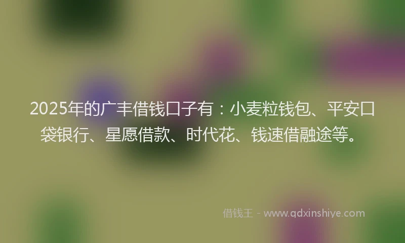 2025年的广丰借钱口子有：小麦粒钱包、平安口袋银行、星愿借款、时代花、钱速借融途等。