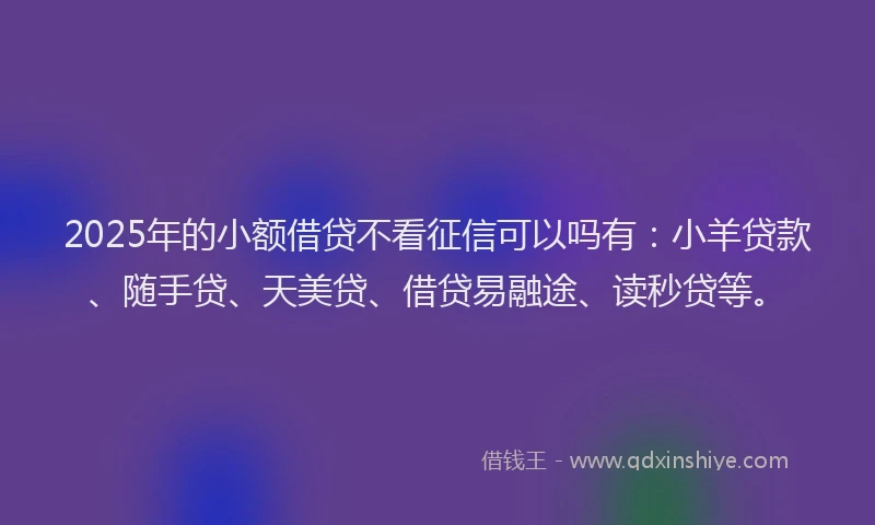 2025年的小额借贷不看征信可以吗有：小羊贷款、随手贷、天美贷、借贷易融途、读秒贷等。