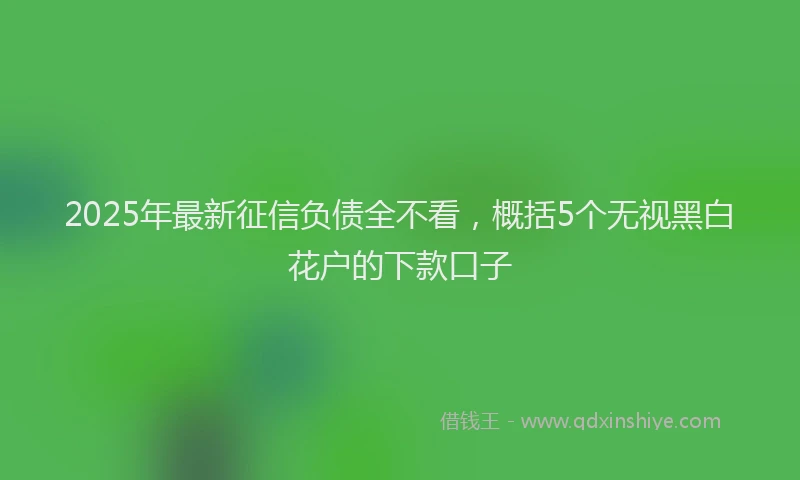2025年最新征信负债全不看，概括5个无视黑白花户的下款口子