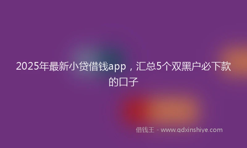 2025年最新小贷借钱app，汇总5个双黑户必下款的口子
