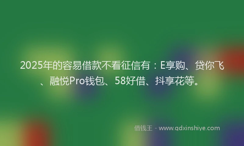 2025年的容易借款不看征信有：E享购、贷你飞、融悦Pro钱包、58好借、抖享花等。