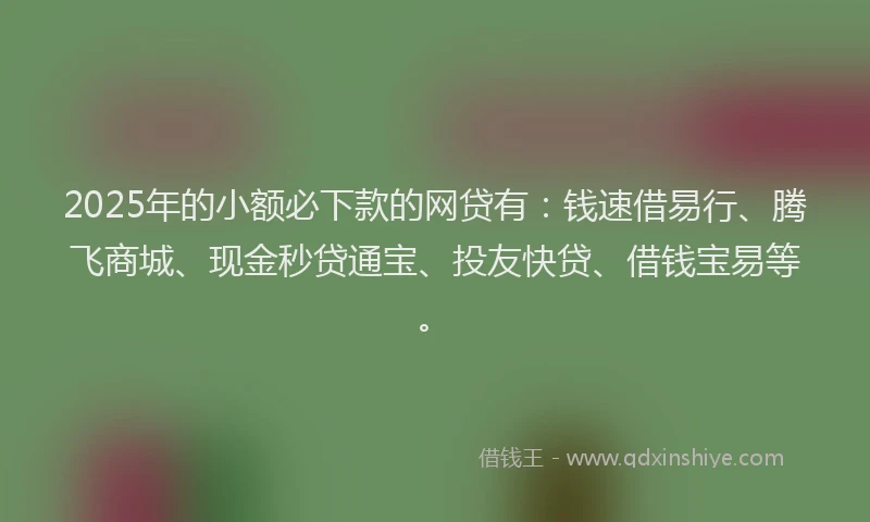 2025年的小额必下款的网贷有：钱速借易行、腾飞商城、现金秒贷通宝、投友快贷、借钱宝易等。