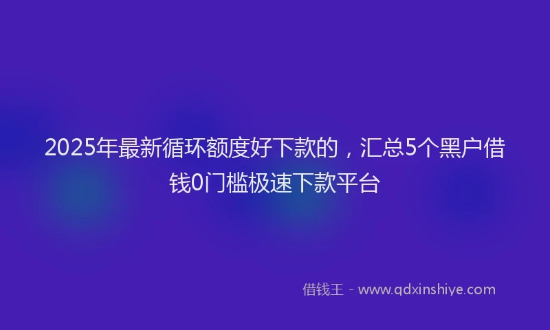 2025年最新循环额度好下款的，汇总5个黑户借钱0门槛极速下款平台