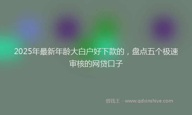 2025年最新年龄大白户好下款的，盘点五个极速审核的网贷口子