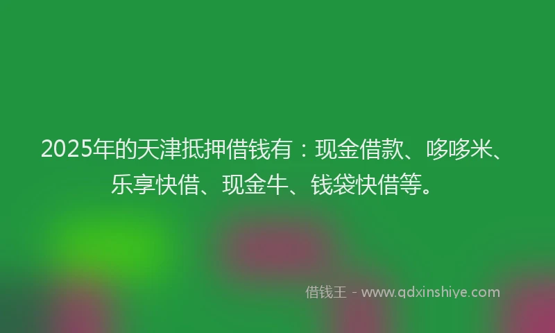 2025年的天津抵押借钱有：现金借款、哆哆米、乐享快借、现金牛、钱袋快借等。