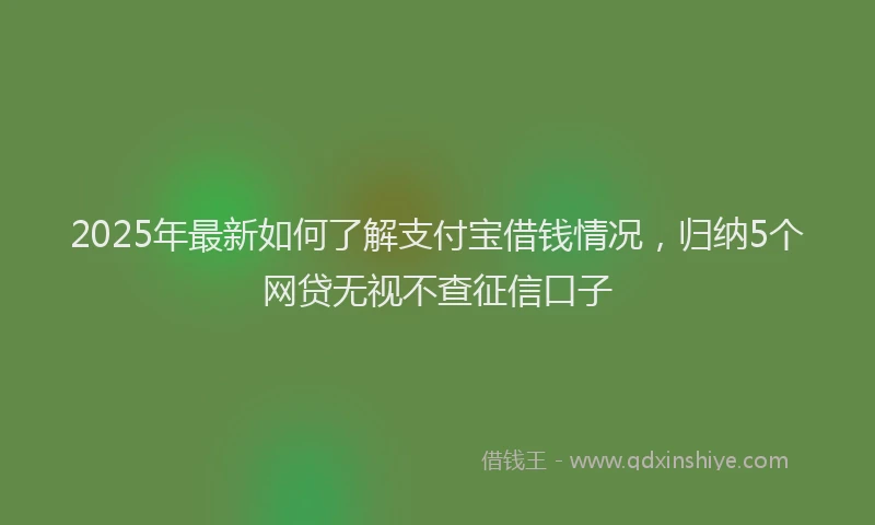 2025年最新如何了解支付宝借钱情况，归纳5个网贷无视不查征信口子