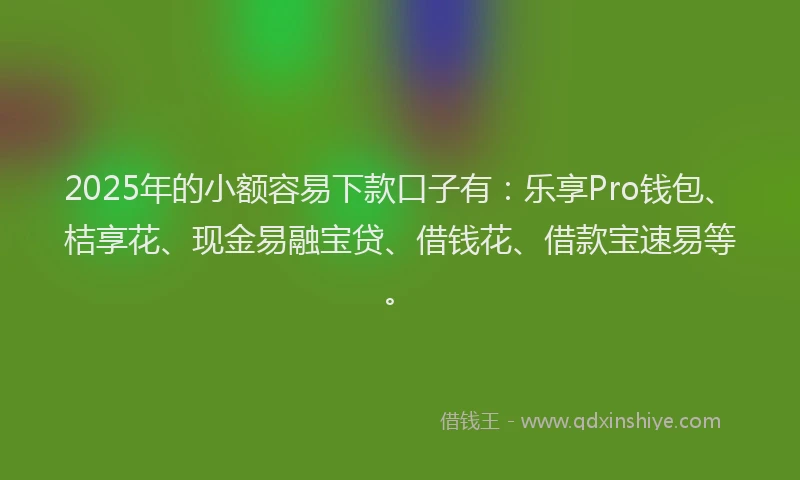 2025年的小额容易下款口子有：乐享Pro钱包、桔享花、现金易融宝贷、借钱花、借款宝速易等。