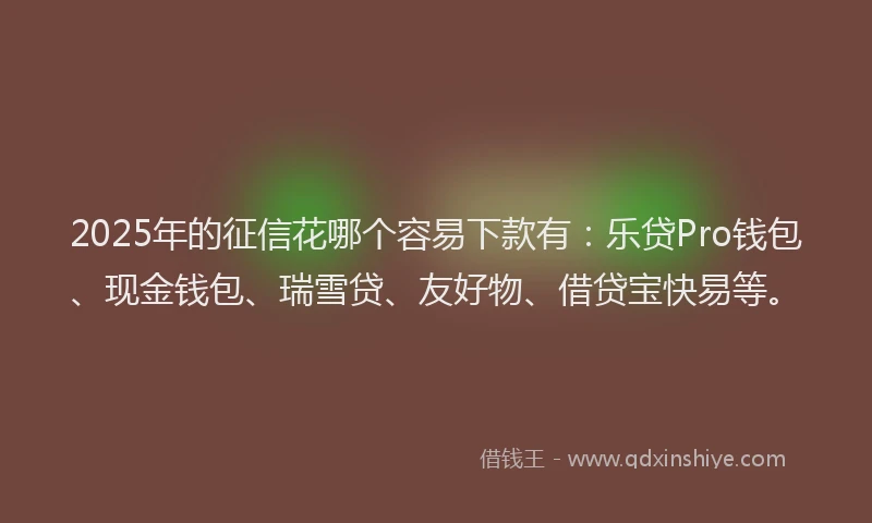 2025年的征信花哪个容易下款有：乐贷Pro钱包、现金钱包、瑞雪贷、友好物、借贷宝快易等。