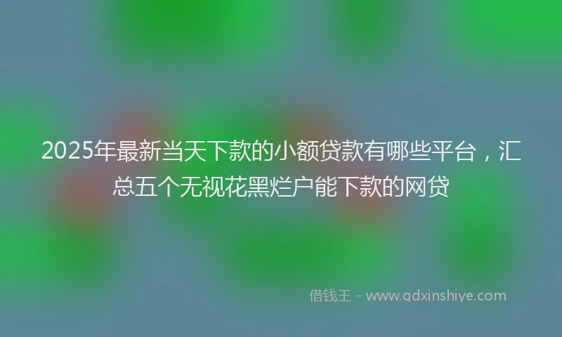 2025年最新当天下款的小额贷款有哪些平台，汇总五个无视花黑烂户能下款的网贷