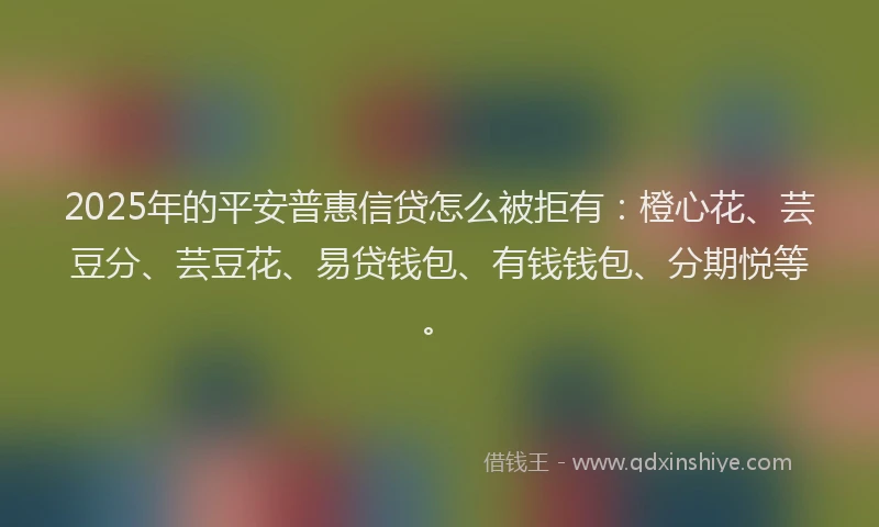 2025年的平安普惠信贷怎么被拒有：橙心花、芸豆分、芸豆花、易贷钱包、有钱钱包、分期悦等。