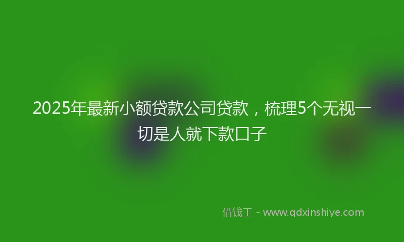 2025年最新小额贷款公司贷款，梳理5个无视一切是人就下款口子