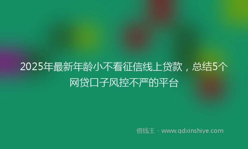 2025年最新年龄小不看征信线上贷款，总结5个网贷口子风控不严的平台