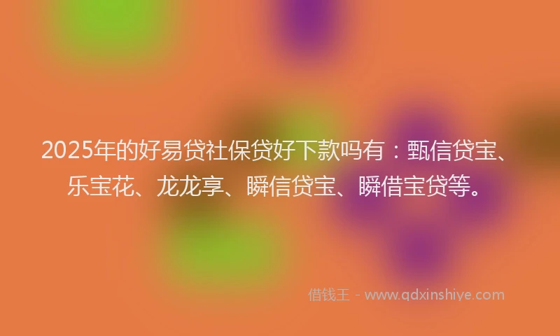 2025年的好易贷社保贷好下款吗有：甄信贷宝、乐宝花、龙龙享、瞬信贷宝、瞬借宝贷等。
