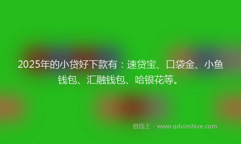 2025年的小贷好下款有：速贷宝、口袋金、小鱼钱包、汇融钱包、哈银花等。