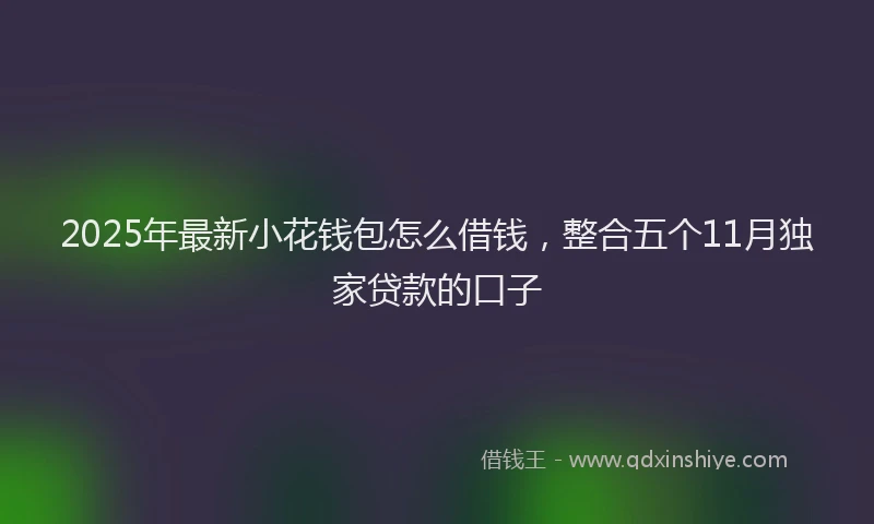 2025年最新小花钱包怎么借钱，整合五个11月独家贷款的口子