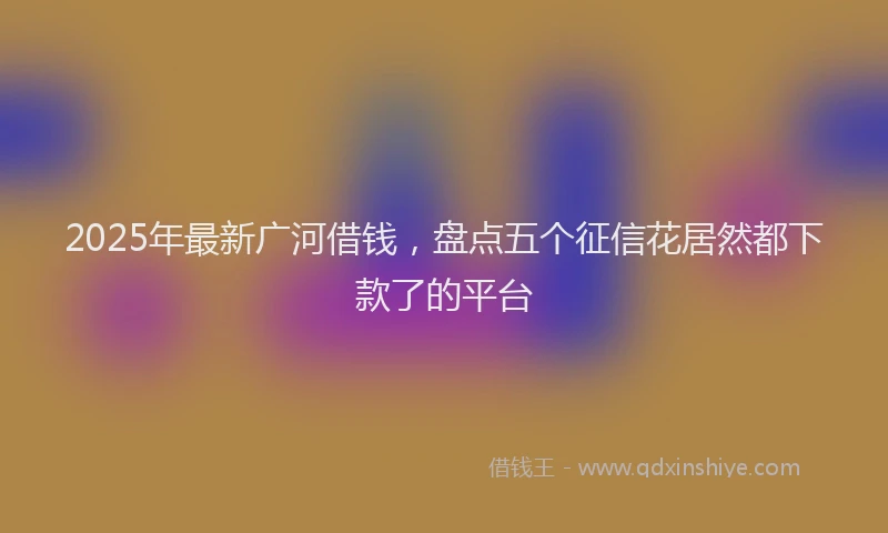 2025年最新广河借钱，盘点五个征信花居然都下款了的平台