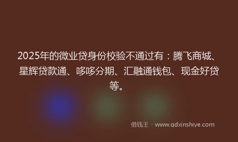 2025年的微业贷身份校验不通过有：腾飞商城、星辉贷款通、哆哆分期、汇融通钱包、现金好贷等。