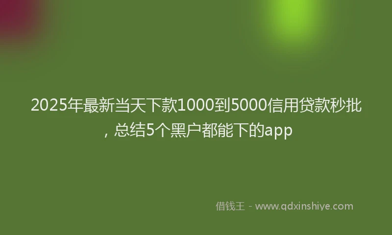 2025年最新当天下款1000到5000信用贷款秒批，总结5个黑户都能下的app