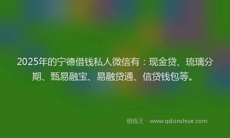 2025年的宁德借钱私人微信有：现金贷、琉璃分期、甄易融宝、易融贷通、信贷钱包等。